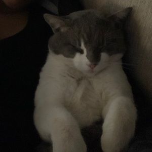 Meet your Posher, Jesse